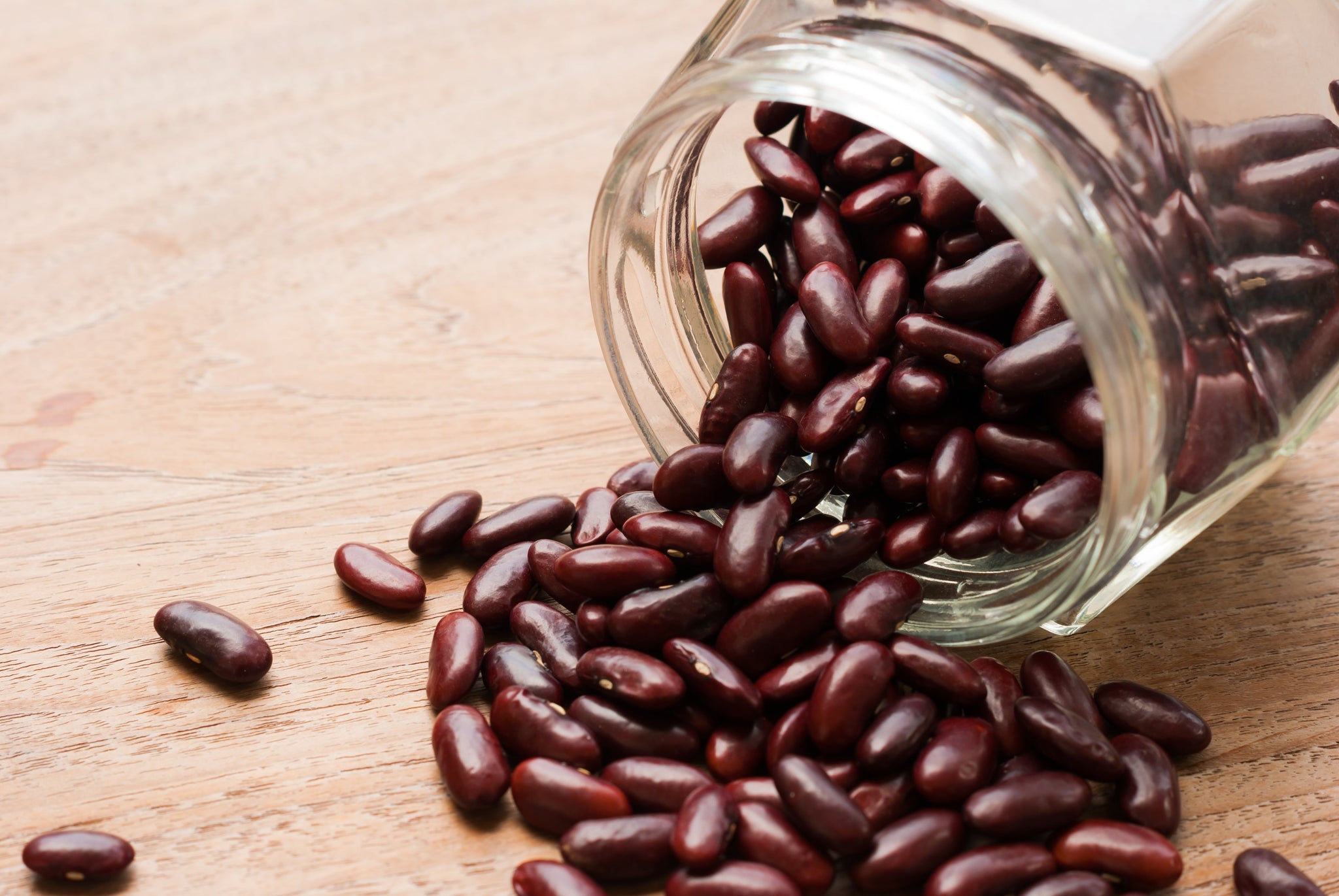 Lectins Good or Bad For Your Bowels?