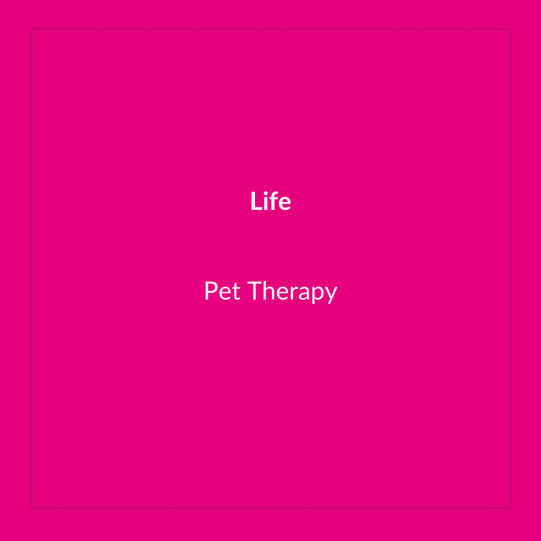 Pet Therapy