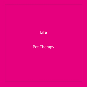 Pet Therapy