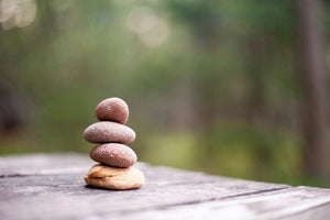 Mini MH series – post 2: Mental wellness & mental illness